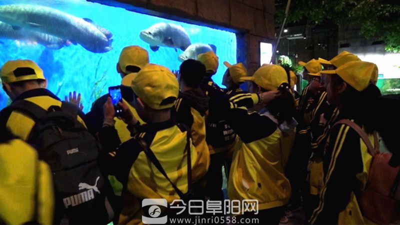阜阳未来学校七年级师生一行走进亳州研学 阜阳未来学校七年级师生一行走进亳州研学
