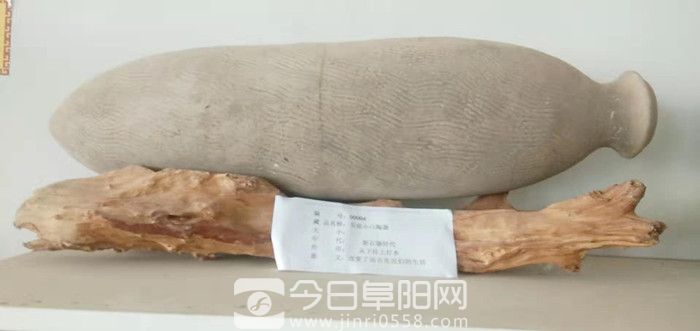 三十年来,他在淮河岸边干了一件“大事——访安徽省六安市霍邱县红色文化博物馆馆长张力 三十年来,他在淮河岸边干了一件“大事——访安徽省六安市霍邱县红色文化博物馆馆长张力