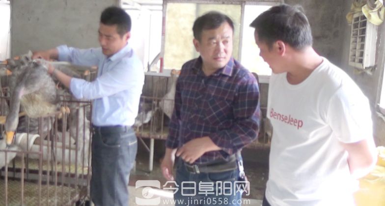 安徽太和:疫情防控抓在前,复工复产勇争先 安徽太和:疫情防控抓在前,复工复产勇争先