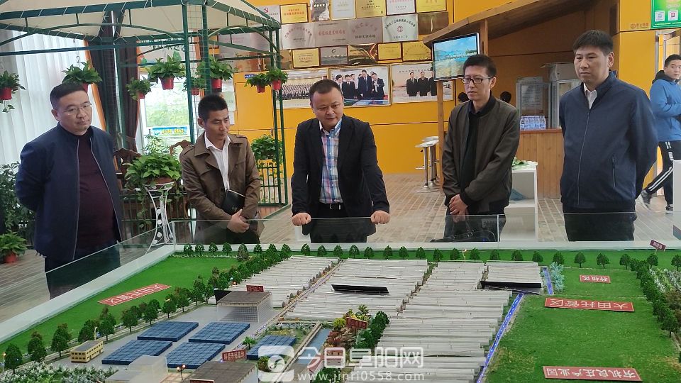 太和县双浮镇:“小良庄”实现“大扶贫” 太和县双浮镇:“小良庄”实现“大扶贫”