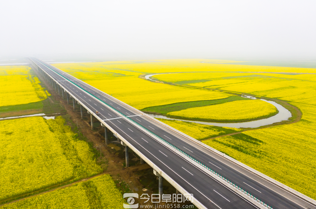 畅游阜南 体验淮河一号风景廊道魅力 品尝阜南特色美食 畅游阜南 体验淮河一号风景廊道魅力 品尝阜南特色美食
