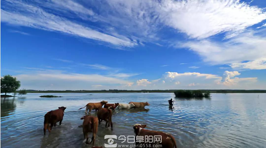 畅游阜南 体验淮河一号风景廊道魅力 品尝阜南特色美食 畅游阜南 体验淮河一号风景廊道魅力 品尝阜南特色美食