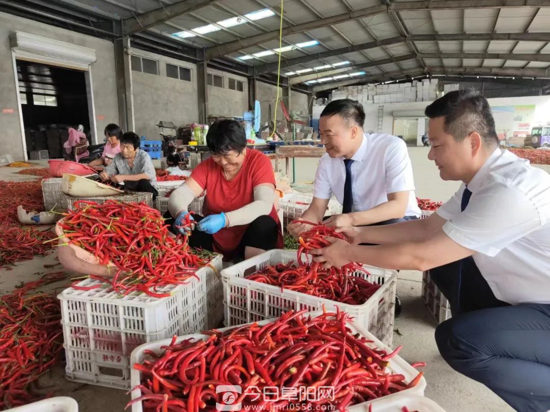 阜南农商行党建引领促发展结硕果 阜南农商行党建引领促发展结硕果