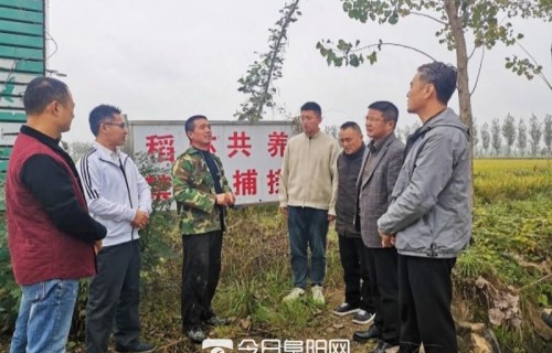 阜南县郜台乡:“联农带农”助增收促振兴